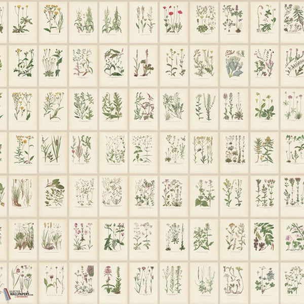 Botanica behang-Sandberg-Oat-Mattic-M2-Selected Wallpapers-Interiors