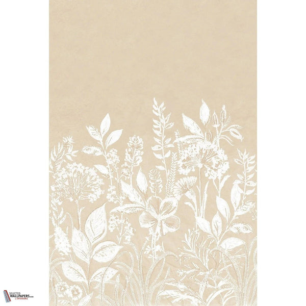 Camelia Tapete-Casamance-Sable/Ivoire-Set-Selected Wallpapers-Interiors