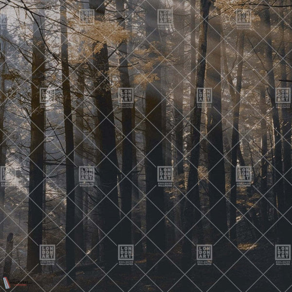 Canadian Forest behang-LondonArt-01-RAW-S120-Selected-Wallpapers-Interiors