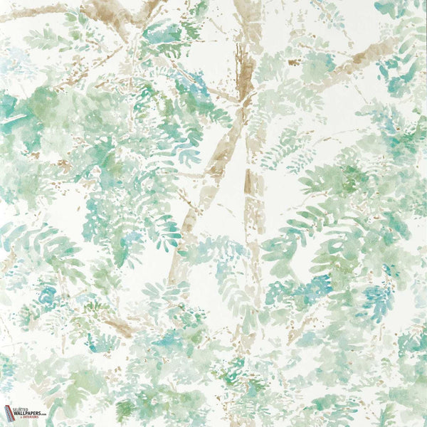 Pine