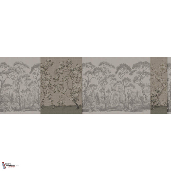 CERTOSA GLXVI351 Combined Design