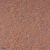 Ceylan-Pierre Frey-wallpaper-Terracotta-Roll-Selected Wallpapers
