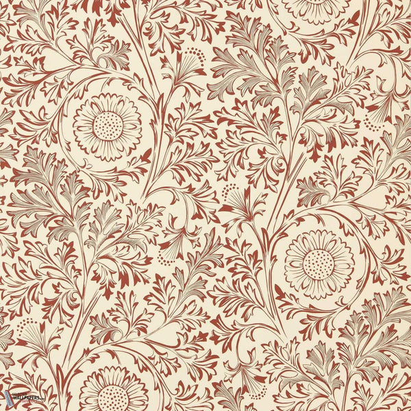 Chamomile wallpaper-Morris & Co-Flax/Madder-Roll-Selected Wallpapers-Interiors