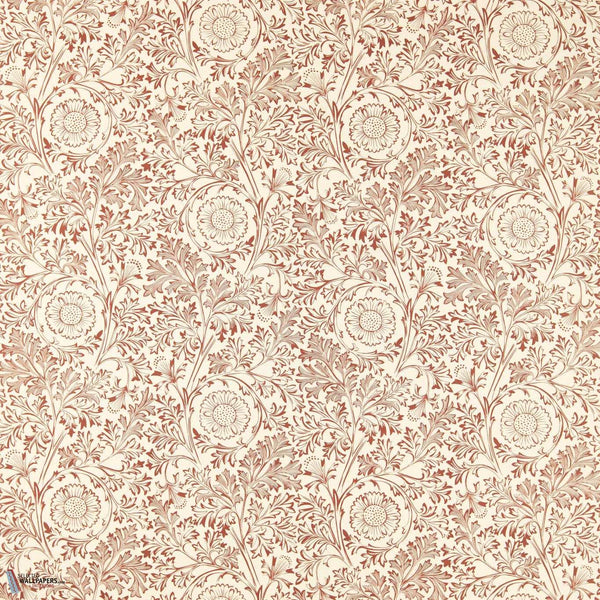 Russet