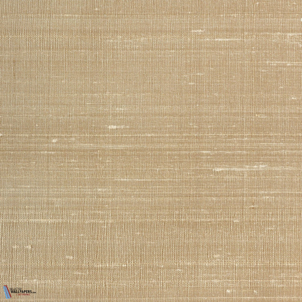 Chandra-Vescom-55-Meter (M1)-Selected-Wallpapers-Interiors