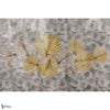 Cheryl-Tapete-INSTABILELAB-Selected Wallpapers
