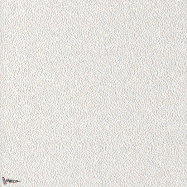 Blanc Pétale