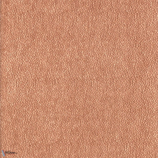 Chroma Blush