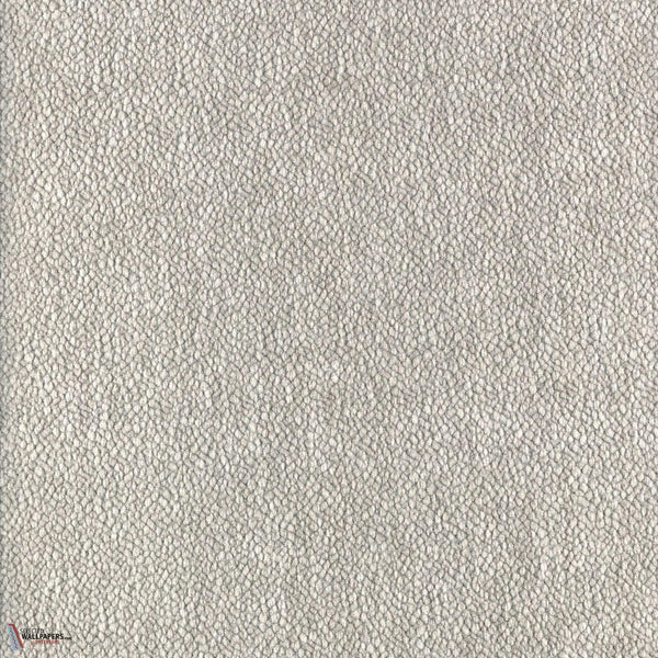 Gris Cendre
