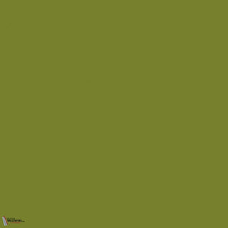Little Greene Citrine 71 paint