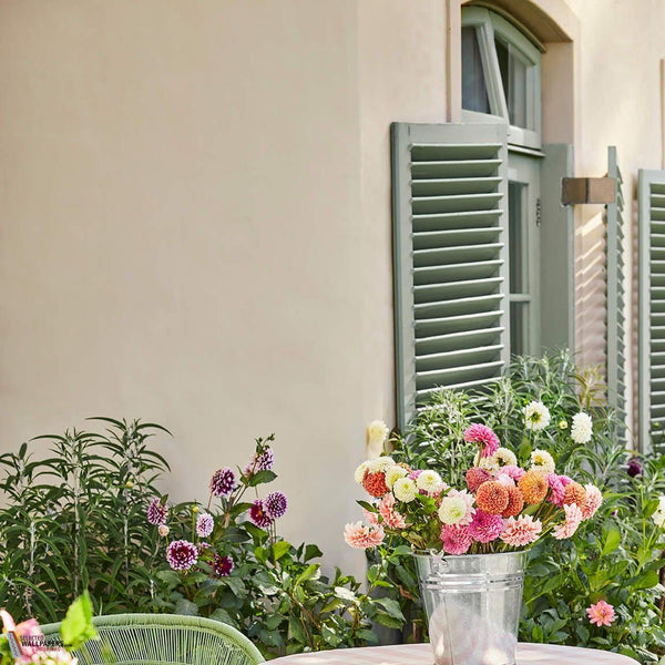 Clay-39-paint-paint-little-greene-exterior