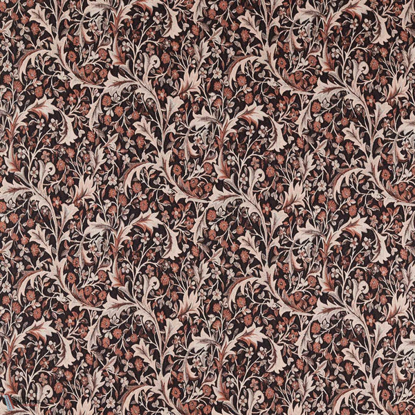 Russet