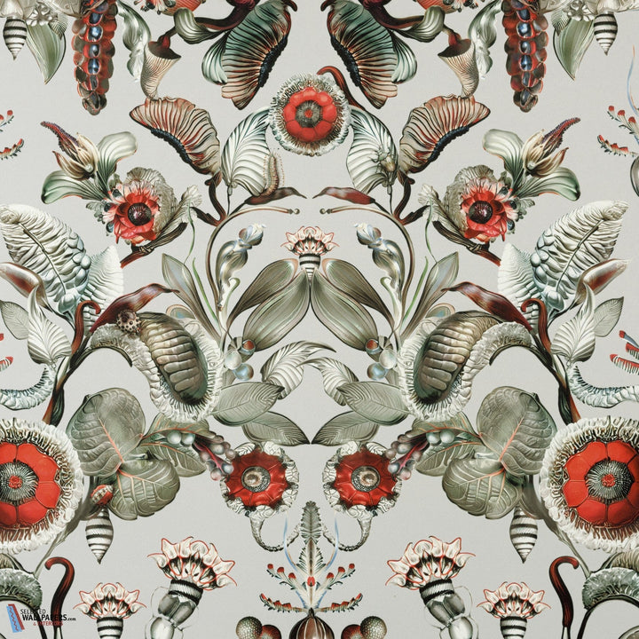 Coccinella Bella-Moooi-behang-tapete-wallpaper-Stone Grey-Meter (M1)-Selected-Wallpapers-Interiors
