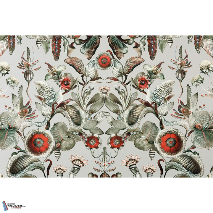 Coccinella Bella-Moooi-behang-tapete-wallpaper-Selected-Wallpapers-Interiors