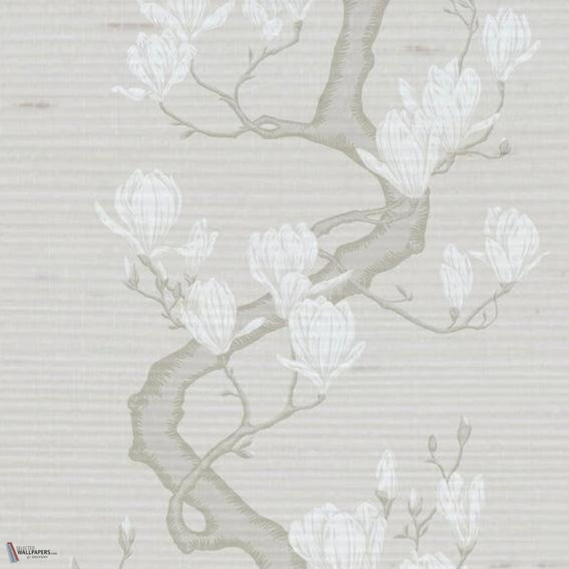 Magnolia Tree Silk wallpaper by Cole & Son