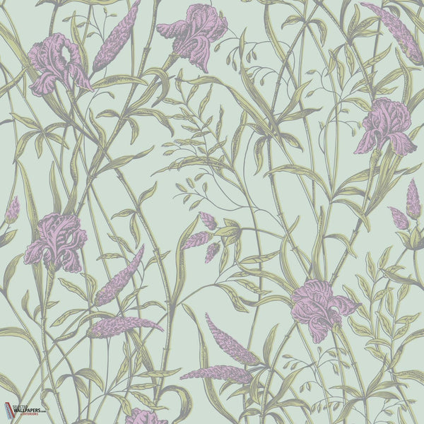 Iris wallpaper Cole & Son