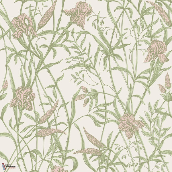 Iris wallpaper Cole & Son