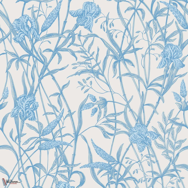 Iris wallpaper Cole & Son