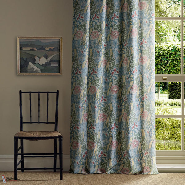 Cornflower roomshot