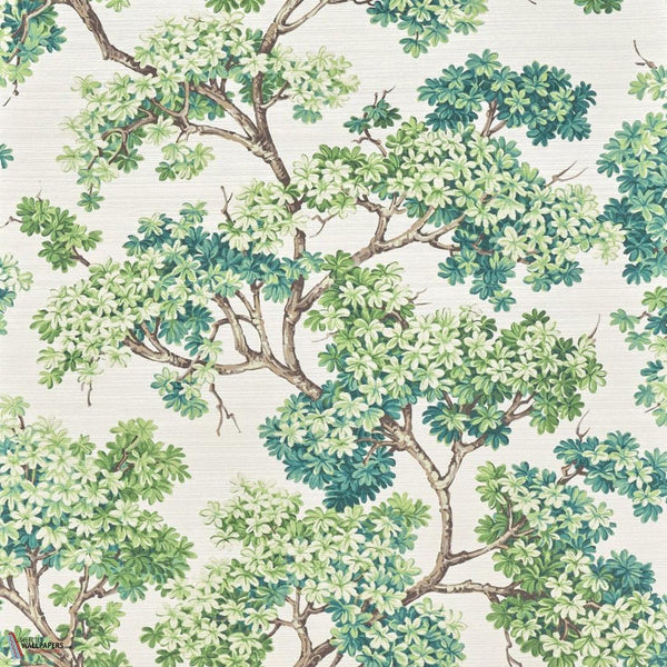 Courtine wallpaper-Pierre Frey-Vegetal-Meter (M1)-Selected Wallpapers-Interiors