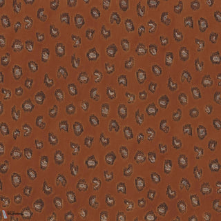 Daim Terracotta