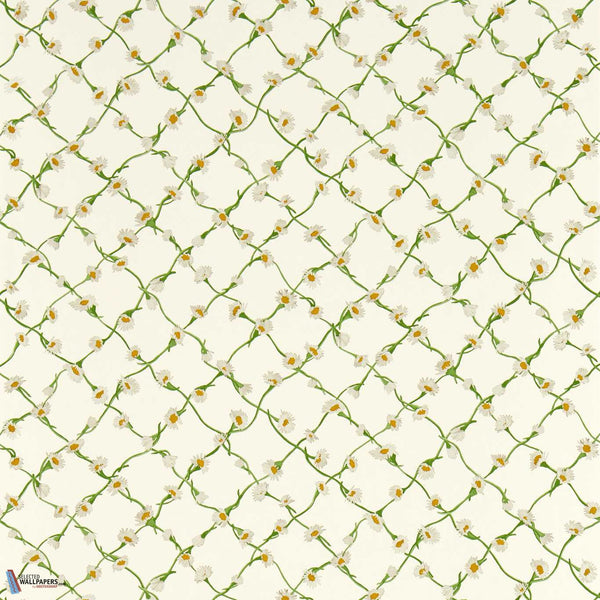 Daisy Trellis-Behang-Harlequin-Emerald/Pearl-Rol-113043-Selected Wallpapers