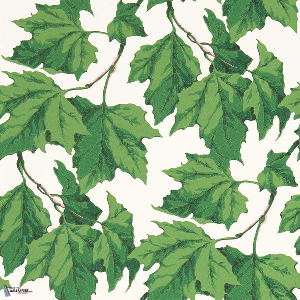 Dappled Leaf-Behang-Harlequin-Emerald-Rol-113045-Selected Wallpapers