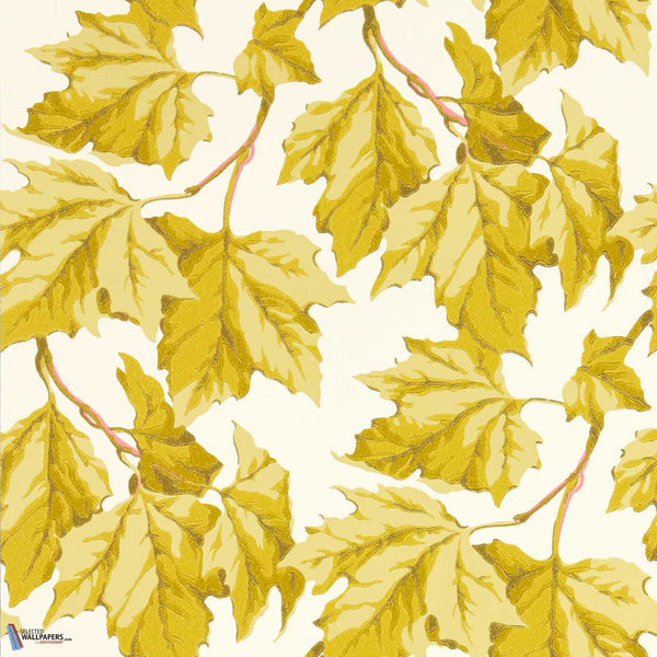 Dappled Leaf-Behang-Harlequin-Citrine-Rol-113046-Selected Wallpapers
