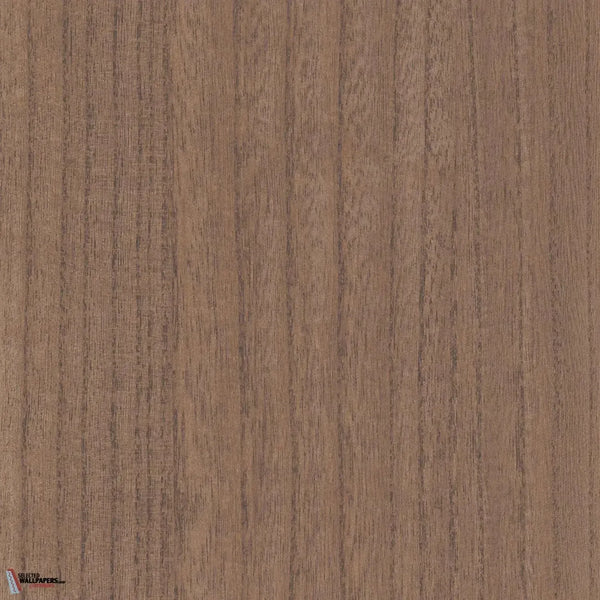 Ebony wallpaper-Casamance-Acajou-Meter (M1)-Selected-Wallpapers-Interiors