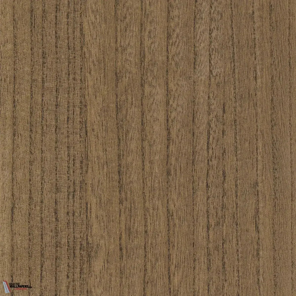 Ebony wallpaper-Casamance-Chene Fonce-Meter (M1)-Selected-Wallpapers-Interiors
