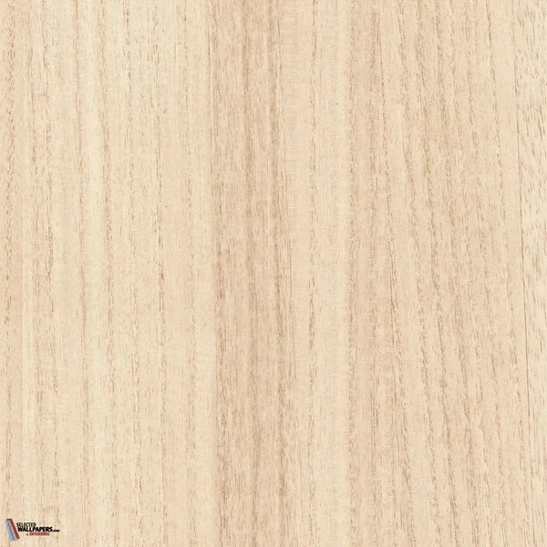 Ebony wallpaper-Casamance-Sable-Meter (M1)-Selected-Wallpapers-Interiors