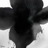 Eclipse Bloom behang-behang-LondonArt-2-RAW-S120-M2-Selected Wallpapers & Interiors