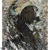 Eclipse-Pierre Frey-behang-01-Set-Selected Wallpapers