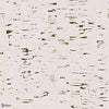 Enchanted Woods II-wallpaper-Phillip Jeffries-Dogwood White-Roll-8648-Selected Wallpapers