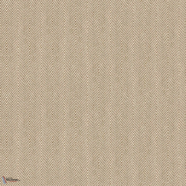 D00251