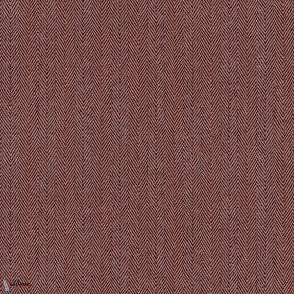 D00254