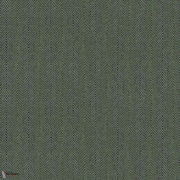 D00259