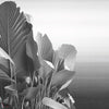 Etherea behang-behang-LondonArt-3-RAW-S120-M2-Selected Wallpapers & Interiors