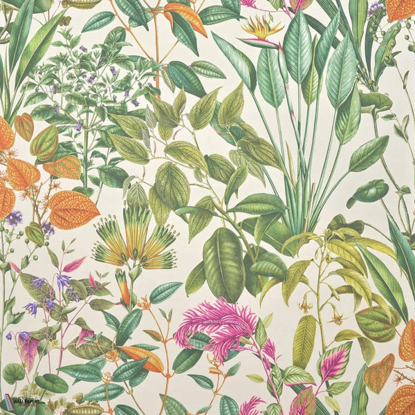 Fantaisie Tropicale Tapete-Pierre Frey-Vegetal-Meter (M1)-Selected Wallpapers-Interiors
