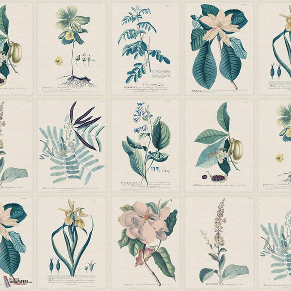 Flora behang-Sandberg-Blue-Mattic-M2-Selected Wallpapers-Interiors