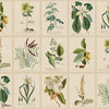 Flora behang-Sandberg-Green-Mattic-M2-Selected Wallpapers-Interiors