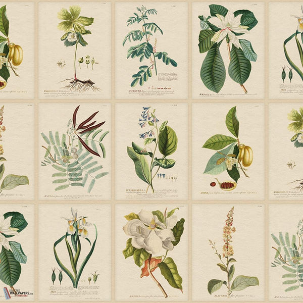 Flora behang-Sandberg-Green-Mattic-M2-Selected Wallpapers-Interiors