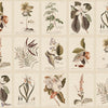 Flora behang-Sandberg-Sepia-Mattic-M2-Selected Wallpapers-Interiors