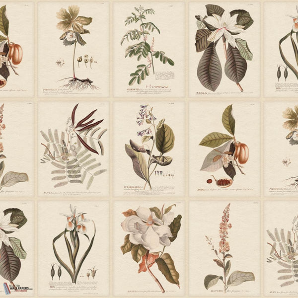 Flora behang-Sandberg-Sepia-Mattic-M2-Selected Wallpapers-Interiors