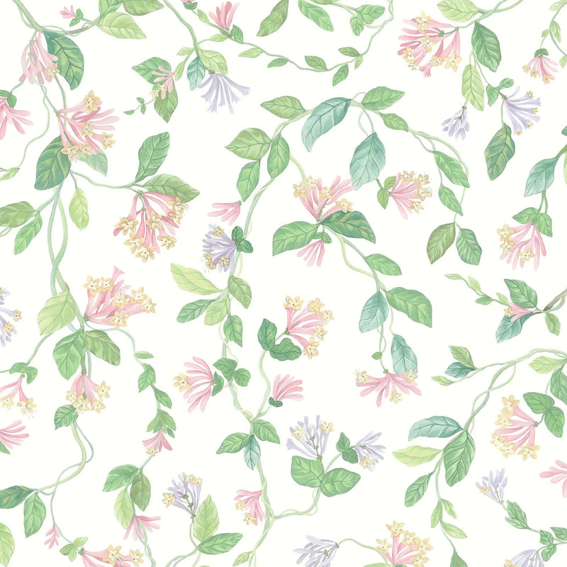 Flora wallpaper in Blush / Sage & Mulberry on Cream by Cole & Son