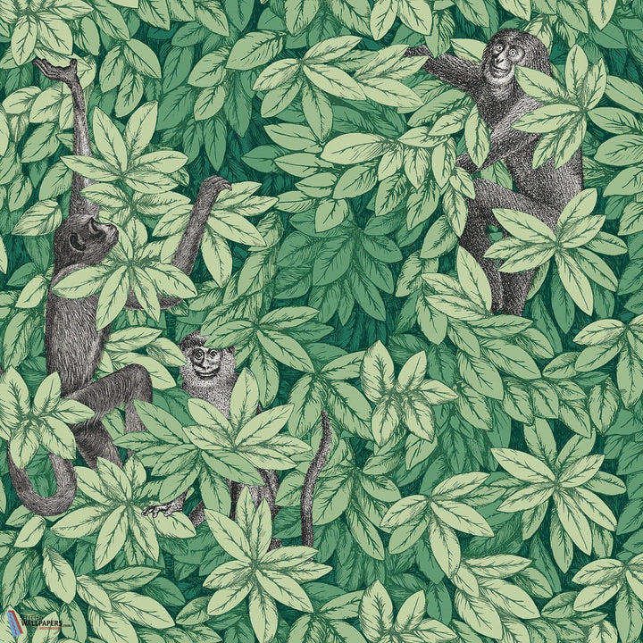 Foglie e Scimmie-behang-Tapete-Cole & Son-Forest Green-Rol-123/10049-Selected Wallpapers