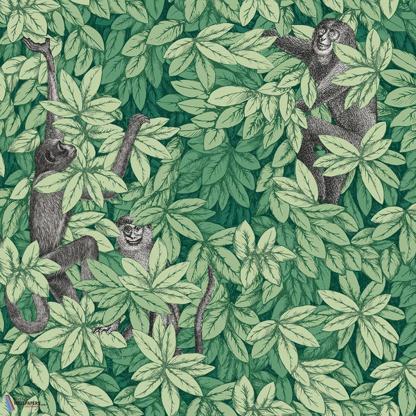 Foglie e Scimmie-Tapete-Cole & Son-Forest Green-Rolle-123/10049-Selected Wallpapers