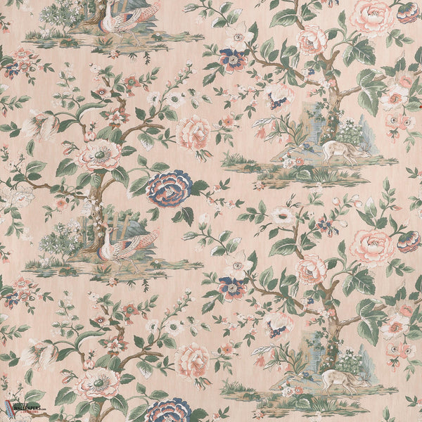 Apricot