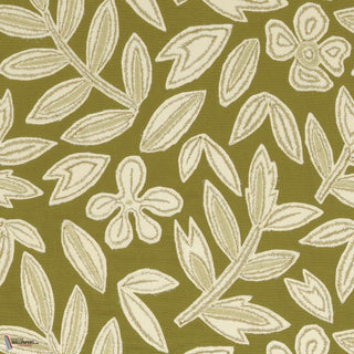 Forget Me Not Olive