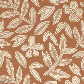 Forget Me Not Orange Terreux